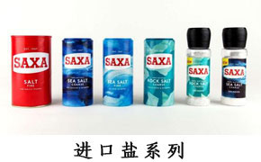進口鹽