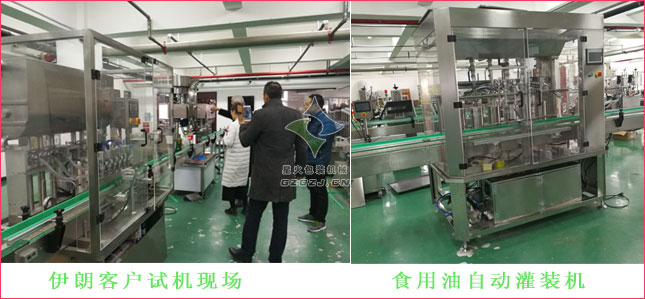 5公斤食用油灌裝生產線,菜籽油灌裝生產線,大豆油灌裝生產線