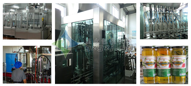 三門峽自動灌裝機